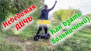 Испытываем НЕВЕДОМУЮ ДИЧЬ