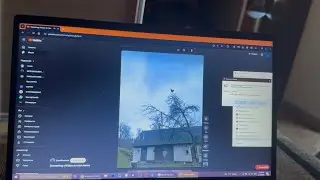 [REQUESTED] Chicken Screaming has BSOD