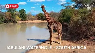 Jabulani: Live Wildlife Stream From South Africa