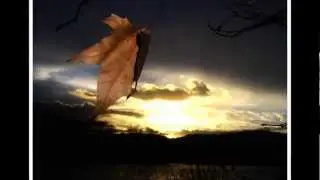 Πολύ καλή για να'σαι αληθινή-Γ.Πλούταρχος