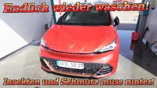 Monatelang keine Wäsche! Insekten und Traffic Film entfernen! Shiny Garage Pre-Wash Citrus Oil ✊
