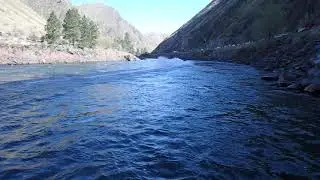 2021 Salmon River Jetboat Races - Riggins, Idaho - Boat 31