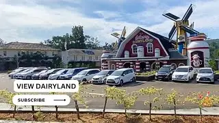 CIMORY DAIRYLAND | Nostalgia Sebelum ada De Windmills