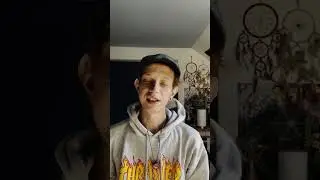 Schmetterlingfotografie