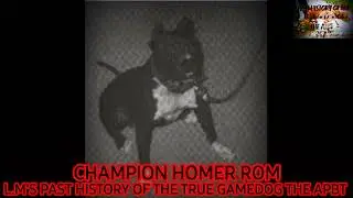 APBT  O.Stevens Champion Homer 4XW ROM