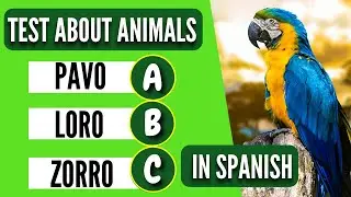 SPANISH TEST | Guess THE ANIMAL in SPANISH | DO YOU KNOW WHAT ALL THE ANIMALS ARE?
