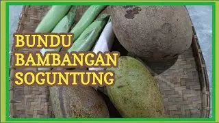 Buah-buahan tempatan di Borneo Sabah
