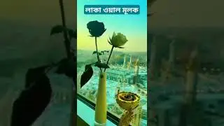 লাব্বাঈক আল্লাহুম্মা লাব্বাঈক 💘🤲 #ইসলামিক_ভিডিও #ইসলামিক #ইসলাম #লাব্বাইক #shortsvideo #youtubeshort