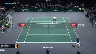 Tennis elbow 2013 Djokovic vs Dimitrov paris Maxou patch