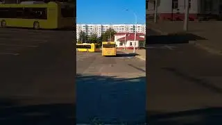 МИНСК (Беларусь) | МАЗ-206.047; гос. ВА 4847-5; марш. 333с. (07.09.2024 г.)