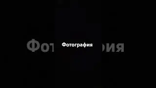 Фотография