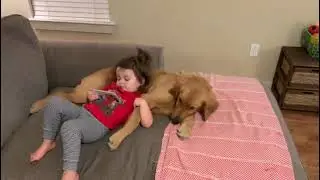 Funny Dog and baby moments 🥰 Cute Baby Video // The Babies World #shorts