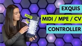 Intuitive Instruments Exquis MPE Controller (w/ hardware synths & Eurorack)