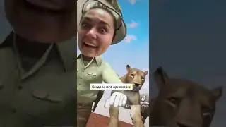 Когда выстроилась очередь на приём к ветеринару #Ветклиникаодесса #Ветеринародесса #ветеринар