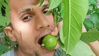 arun entertaining world is going live!