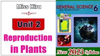 6 Science Unit 2 | Reproduction in Plants@educationuptoclass12