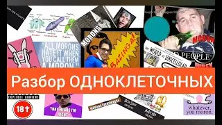 РАЗБОР ОДНОКЛЕТОЧНЫЕ (МИР ОДНОКЛЕТОЧНЫХ) | Разбор Песни | 