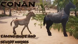 How To Tame A Horse! Conan Exiles Part 3