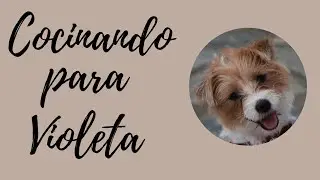 Violeta 
