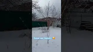 Давно такой зимы в Ростове не было 🥰 