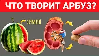 Эти содержащие АРБУЗА могут вызвать НЕОБРАТИМЫЕ ПРОЦЕССЫ В ОРГАНИЗМЕ