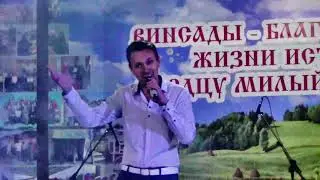 Владимир Волынкин-Небо в алмазах(День села Вин сады)17.09.2023