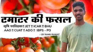 टमाटर की फसल !! कृषि पर्यवेक्षक भर्ती  2023 !! Horticulture Classes !! By Ramu Rawat