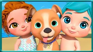 Bingo Dog Song  + More Nursery Rhymes - Super Luca School Theather