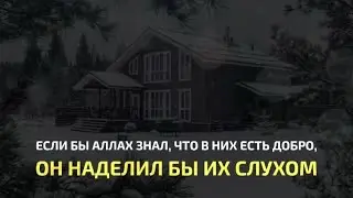Сура Аль-Анфаль | Мухаммад Люхайдан | Красивое чтение Корана
