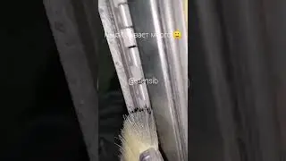 Установка виниловой вставки на листогибе VanMark.