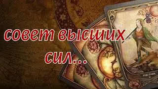 ТАРО. 🙏🍁СОВЕТ ОТ ВЫСШИХ СИЛ🌿 О ЧЕМ ТЕБЕ НАДО ЗНАТЬ💯🍂