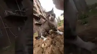 Жизнь от первого лица 😂