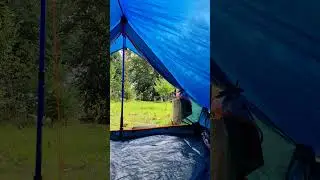 Tenting in the wood