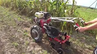 SOS! Need advice! My potato digger isn't digging! What should I do?