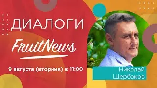 Диалог о ситуации в садоводстве в южных регионах России с Николаем Щербаковым