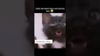 Sapşik kedi 😂 #cat  #kedi #shorts #komedi