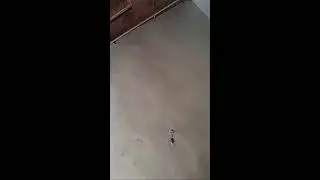 Сули Сайкуев в прямом эфире!