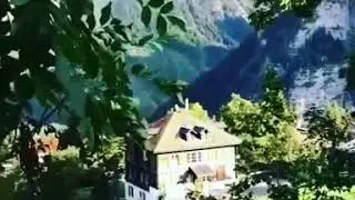 Бохор