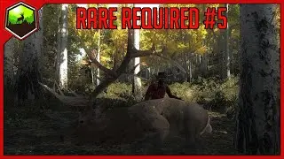 Rare Required #5 | theHunter Classic