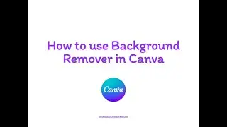 Canva remove a video or image background with or without a green screen