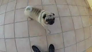 Yi Action Camera 4k/30 Test Video