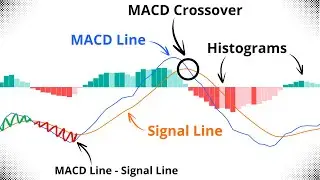 MACD Indicator Explained Simply (MACD Line, Signal Line, Histogram, Crossover, Zero Line)