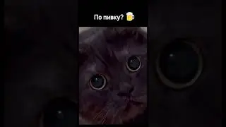 быстрый ответ #2024shorts #стрим #memes #twitch #делайт #подборкаприколов