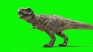 Dragon green screen video VFX 6