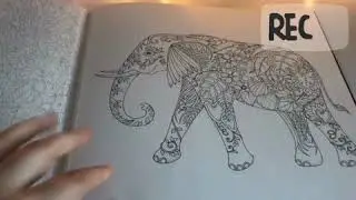 Johanna Basford/ Джоанна Басфорд/darwing