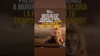 Mente millonaria