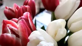 ФевроМарт 2018