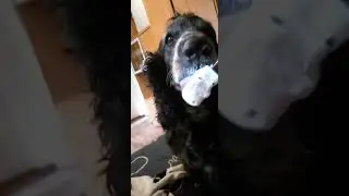 Не жадничай поделись вкусняшкой!!!