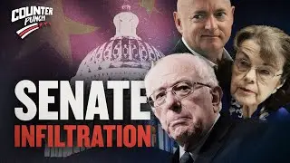 The United States Senate Has Been Deeply Infiltrated By Enemies Foreign and Domestic