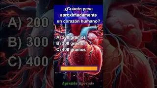 Quiz Cuerpo Humano 5 #quiz #quiztime #cultura #fypシ #fypシ゚viralシ #culturageneral  #fypシ #fypシ゚viral